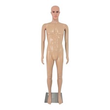 Male Mannequin Full Body