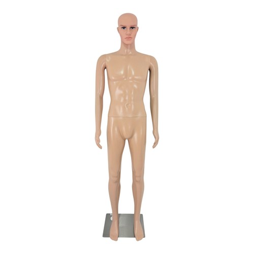 Male mannequin full - full, body