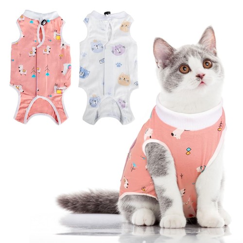 Xdealcozyxc pack cat surgery - cat,