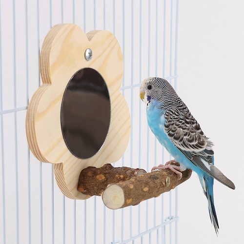 Bird cage perches mirror - cage, chew