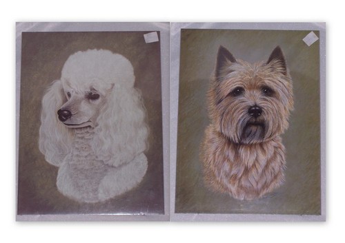 Dog prints pamela ryan - by,