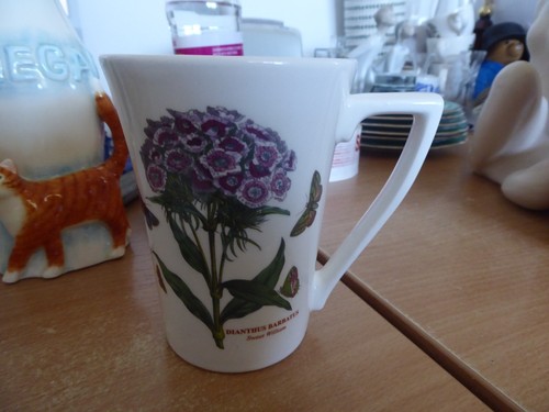 Portmeirion botanic garden mug - botanic,