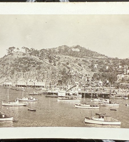 Found photo catalina island - found,
