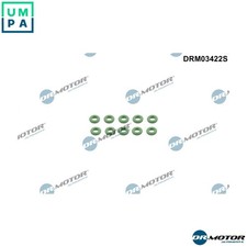 SEAL RING INJECTOR DRM03422S