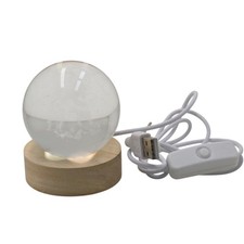 3D Sea Turtle Crystal Ball