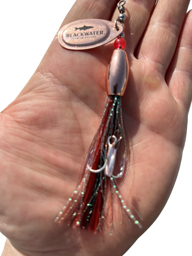 Salmon spinner flytail flying - salmon,