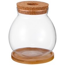 Fish Bowl Glass Terrarium