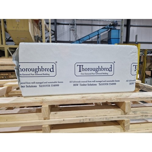 Horse bedding thoroughbred - horse,