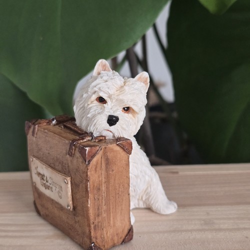 Sherratt simpson westie dog - sherratt,