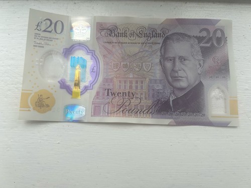Extremely rare king charles - king,