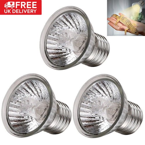 3pcs reptile light bulb - reptile,