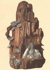 JAPAN. Bouquet- holder of Kyoto ware 1890 antique vintage print picture