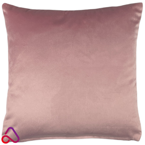 Plush velvet cushion - velvet, cover