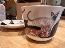 CATS GALORE , BONE CHINA CUP