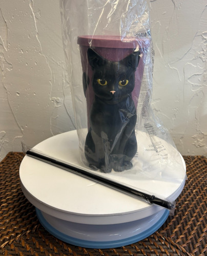 Practical magic black cat - practical,