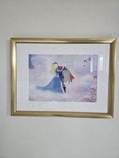 ​Disney Store Exclusive