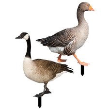 2 Pcs Garden Accessory Pond