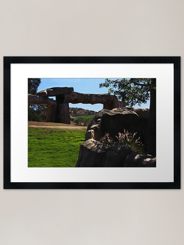 Safari park elephant home - park,