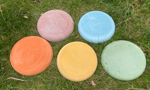 Five circular stepping stones