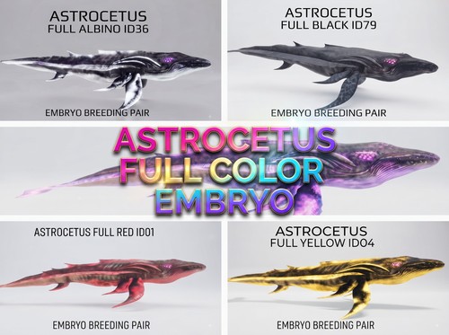 Astrocetus full color - full,