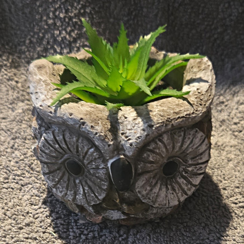 Gem imports cement owl - cement,