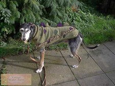 Dog Coat Knitting Pattern 'Barkasaurus Rex' Dog Coat Jumper Sizes XS-XL