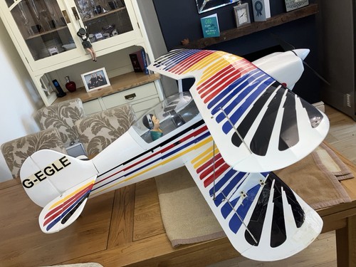 Seagull christen eagle - christen,