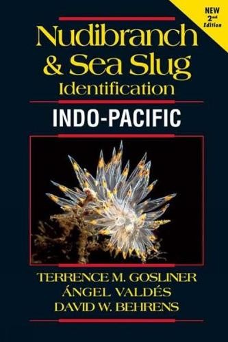 Nudibranch and sea slug - nudibranch,
