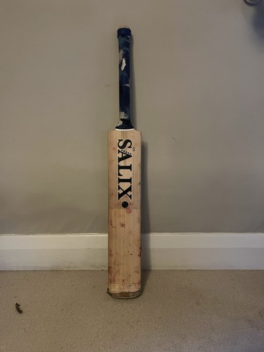 Salix grade english willow - salix,