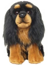 Black & Tan Cavalier King