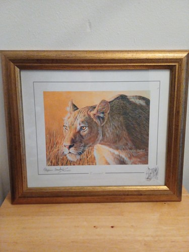 Stephen gayford signed - gayford,