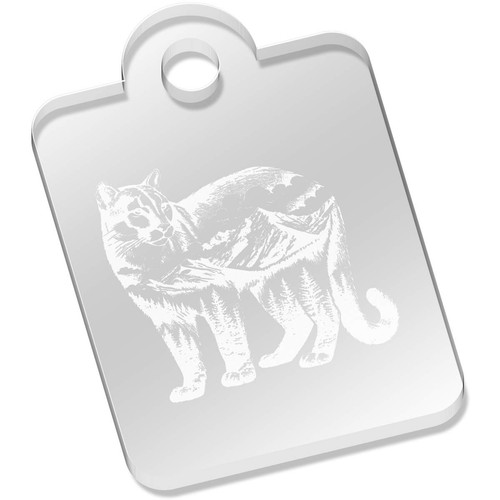 Mountain lion standing - lion, standing'