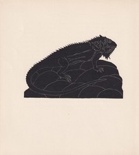 1929 IGUANA Print Wood