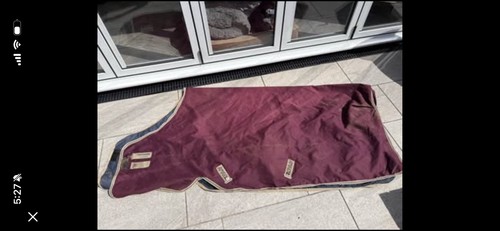 Horseware amigo turnout rug - amigo,
