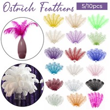 Large Ostrich Feathers