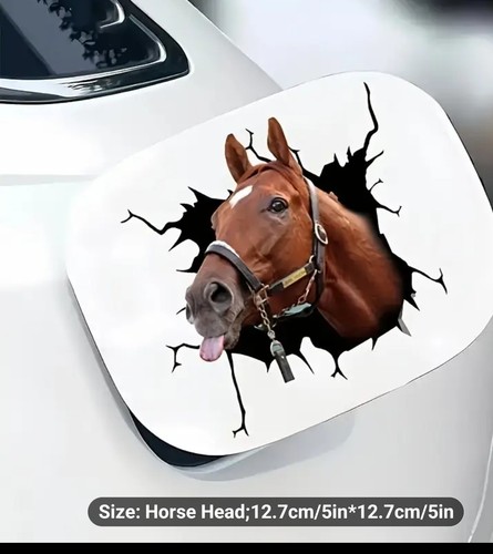 Horse sticker car - sticker,