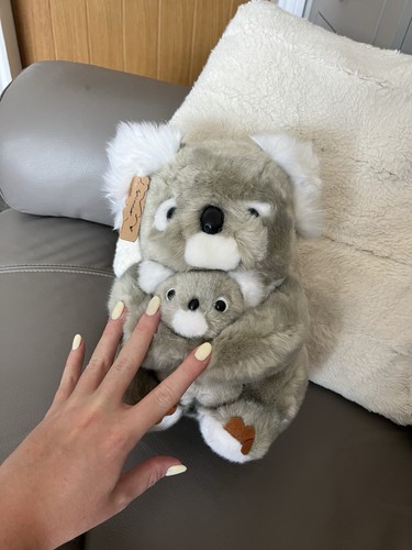Authentic australian koala - authentic,