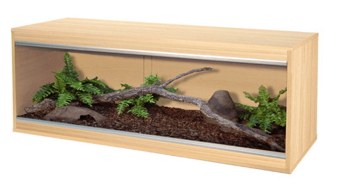 Viv exotic reptile - viv, home