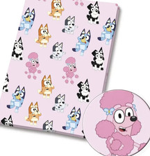 Bluey Bingo friends character