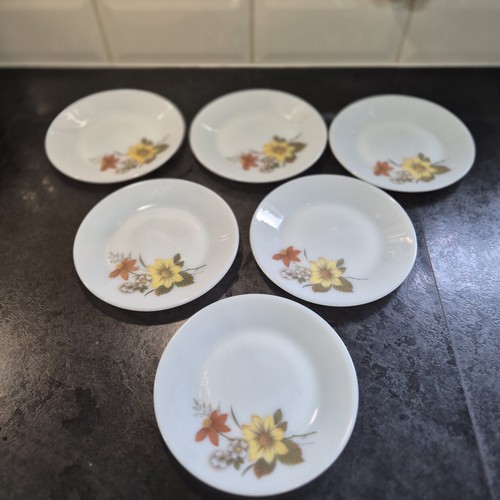 Jaj pyrex autumn glory - jaj,