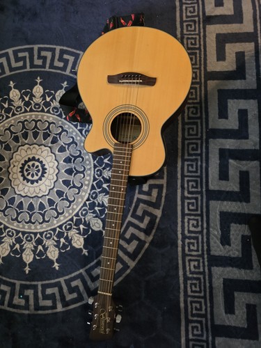 Brunswick acoustic electric - brunswick,