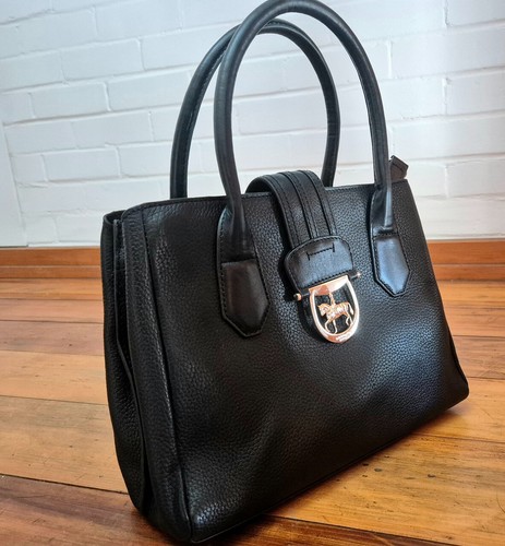 Paul costelloe dressage - paul,