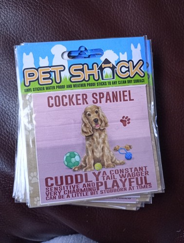 Pet shack cocker spaniel - pet,