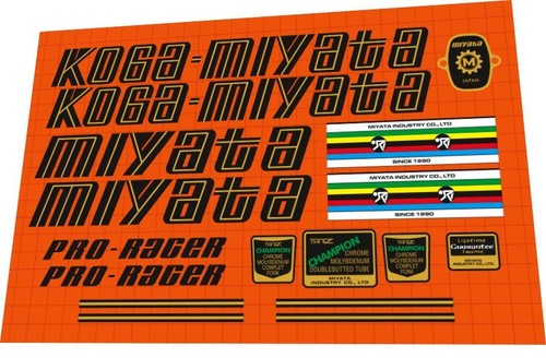 Koga miyata pro racer - koga,