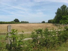 Photo A3 Arable land at Park