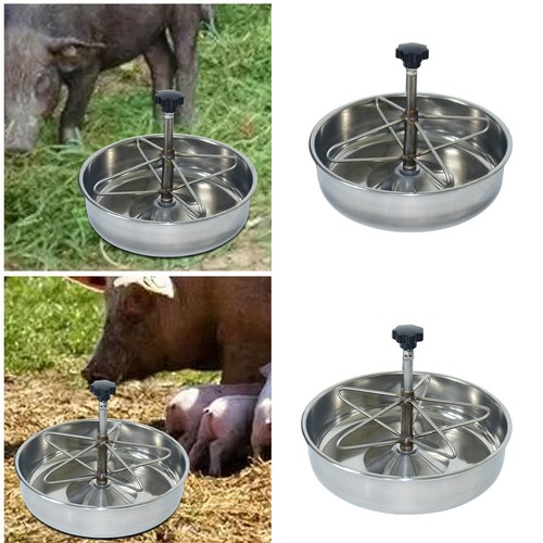 Pig trough - pig,