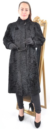 Us5182 real swakara persian - us5182,