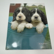 English Springer Spaniel