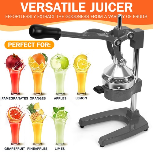 Hand press manual juicer - press,