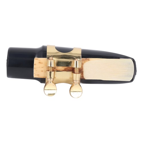Alto saxophone mouthpiece kit - saxophone,